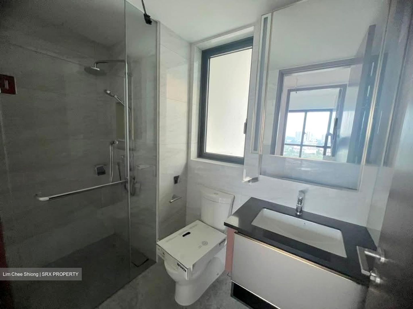 Normanton Park (D5), Apartment #601026771